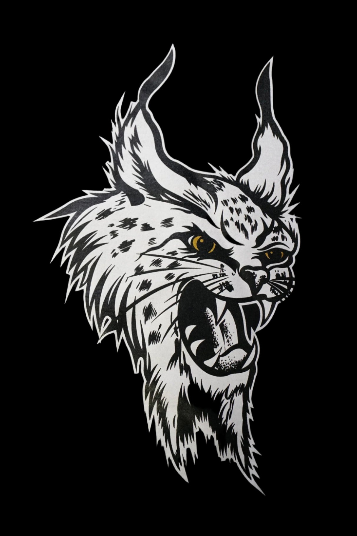 True Beauty Black Design Tee