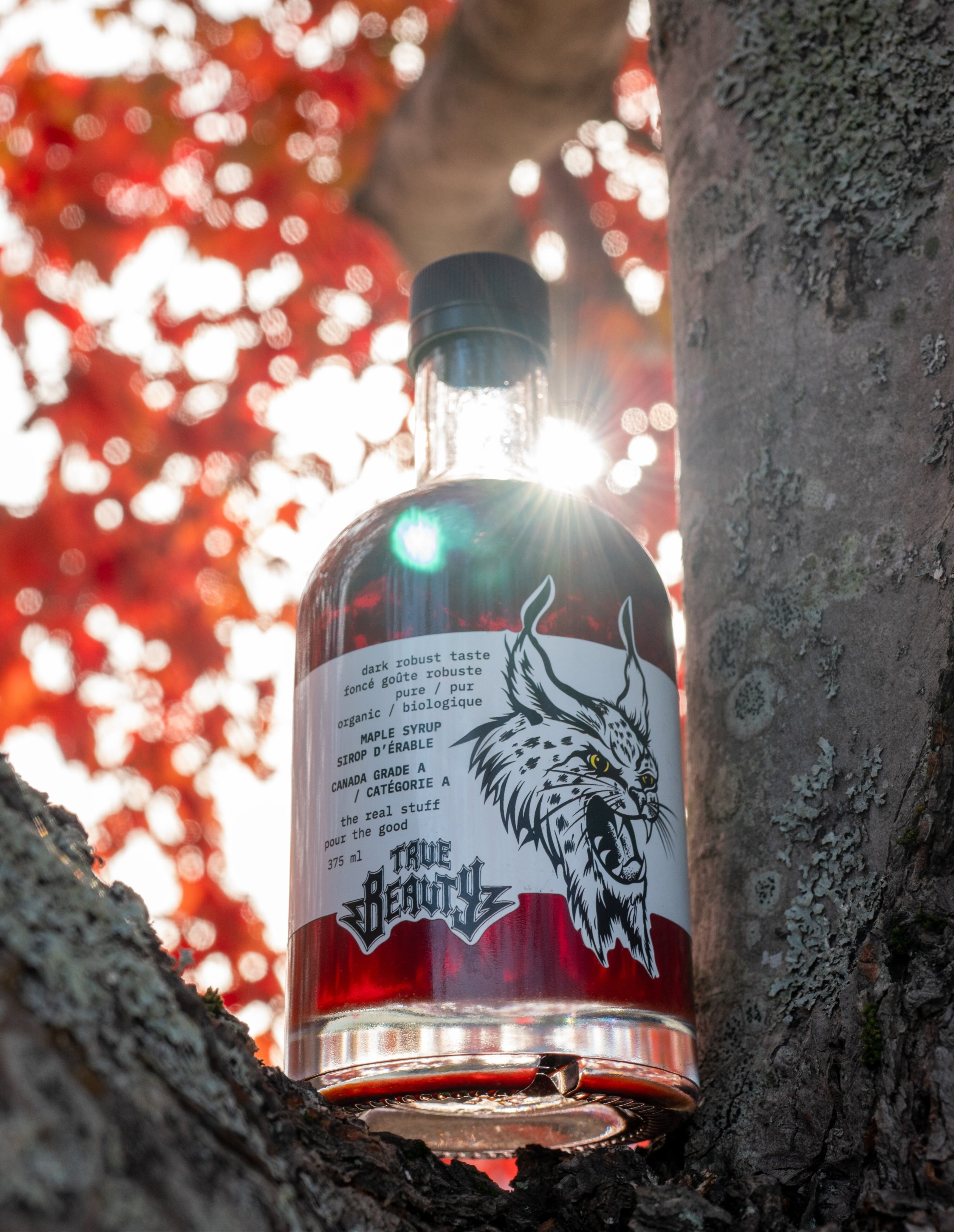 Bottle of maple syrup with a label featuring a lynx design, against a blurred natural background.