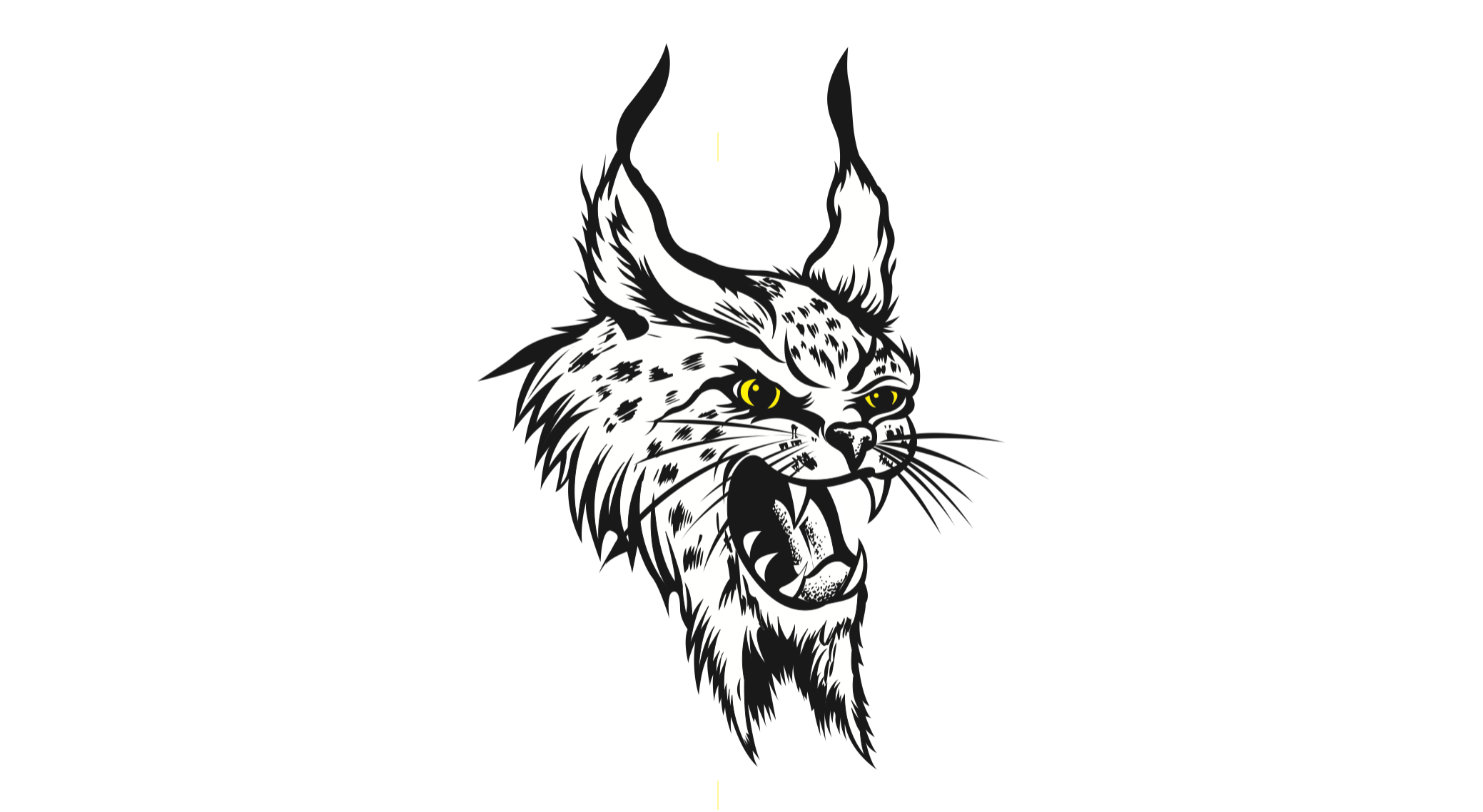 True Beauty Logo icon